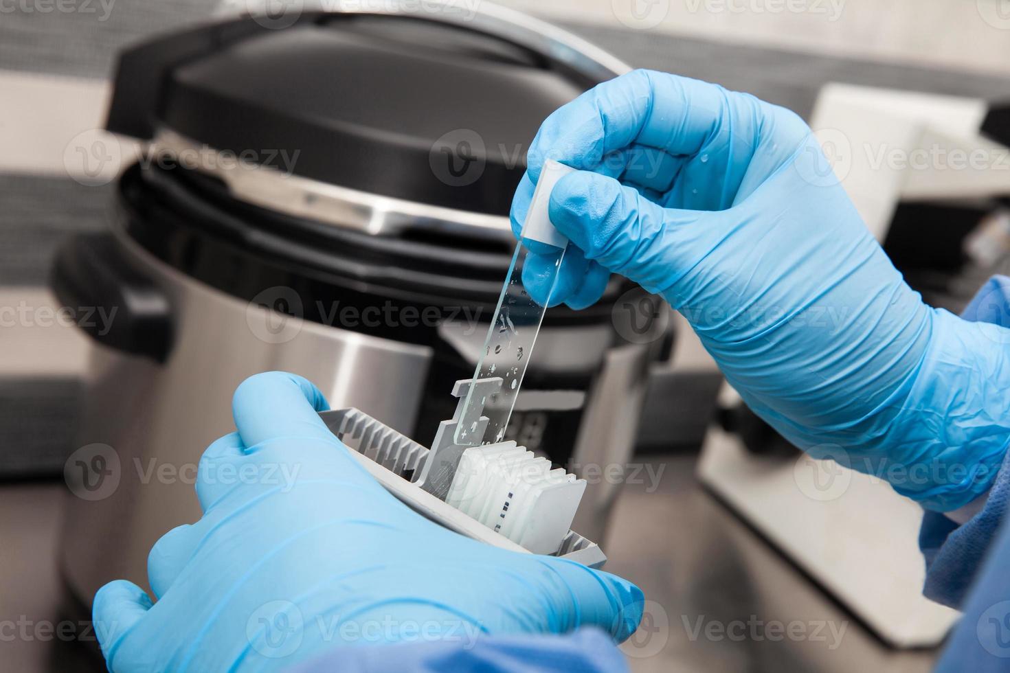 Scientist preparing slides with tissue samples for immunohistochemistry assay in the laboratory. Scientist at the Immunohistochemistry laboratory carry out antigen retrieval on biopsy tissue. photo