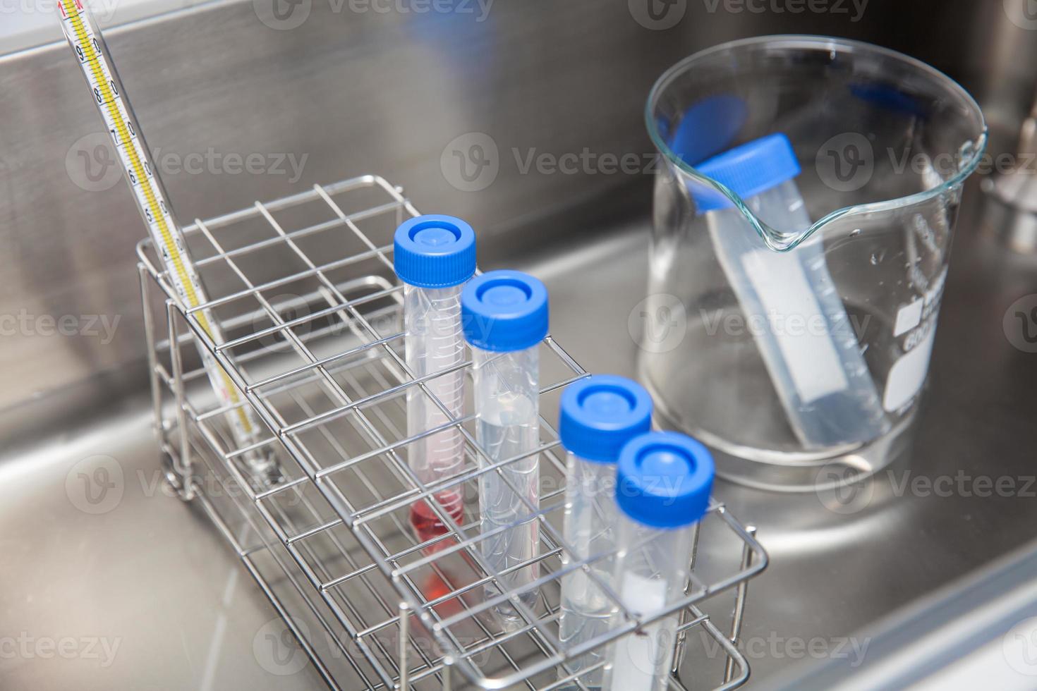 Falcon tubes and rack in a hot water bath at laboratory photo