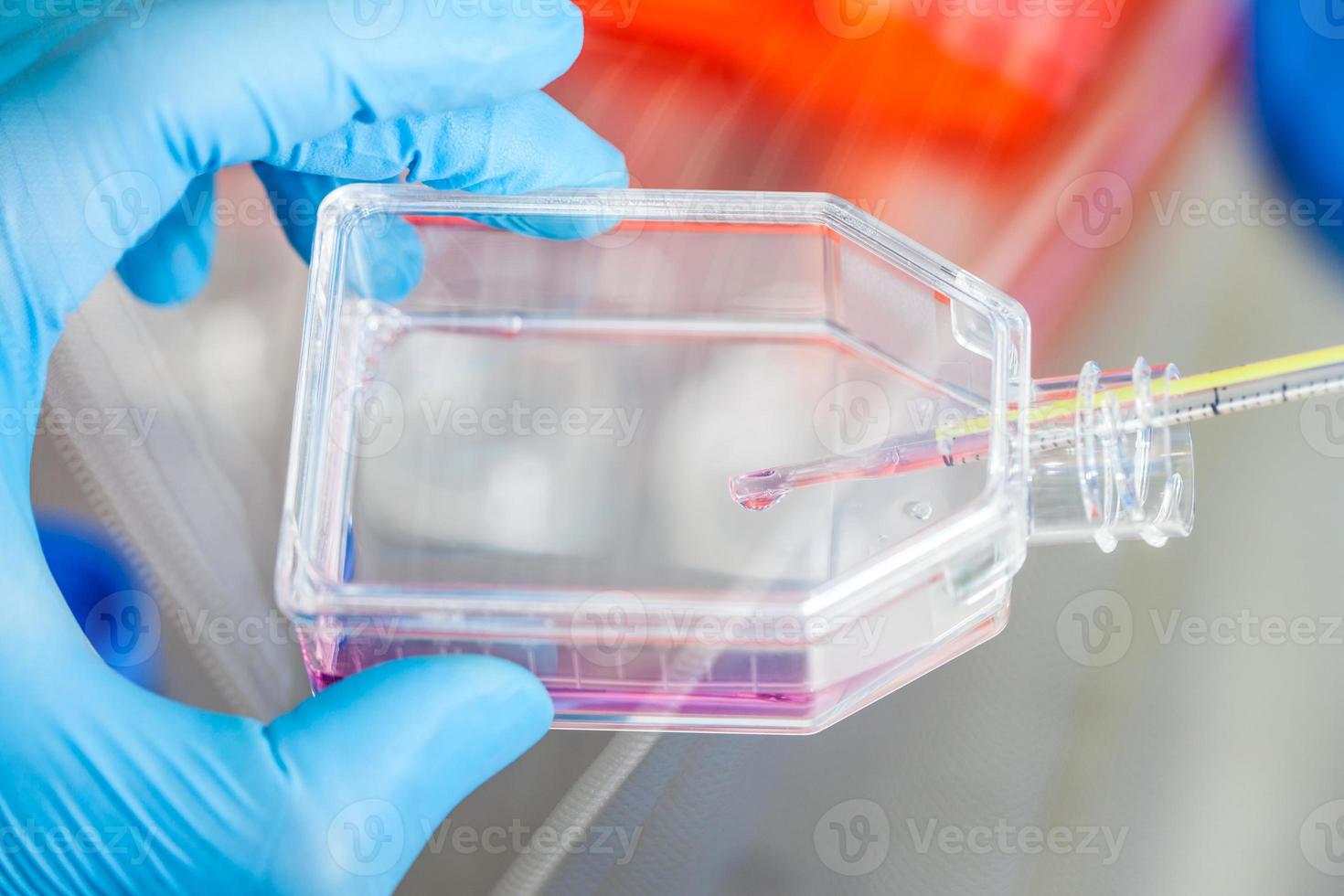 científico trabajando con un célula cultura matraz debajo estéril capucha a laboratorio foto