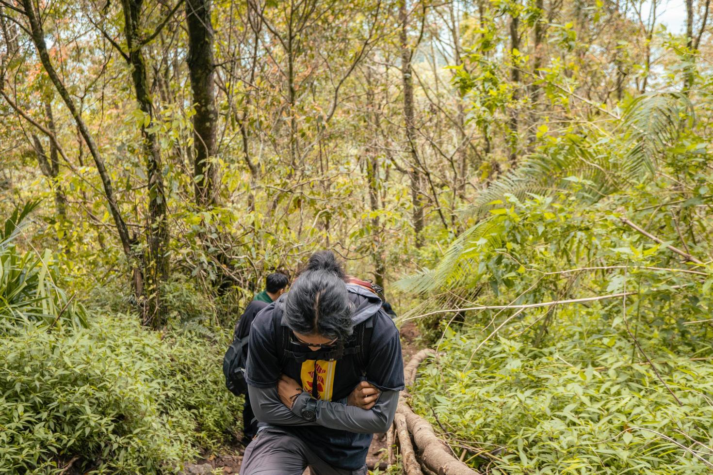 Man got journey on the forest going to peak mountain on Semarang Central Java. The photo is suitable to use for adventure content media, nature poster and forest background.