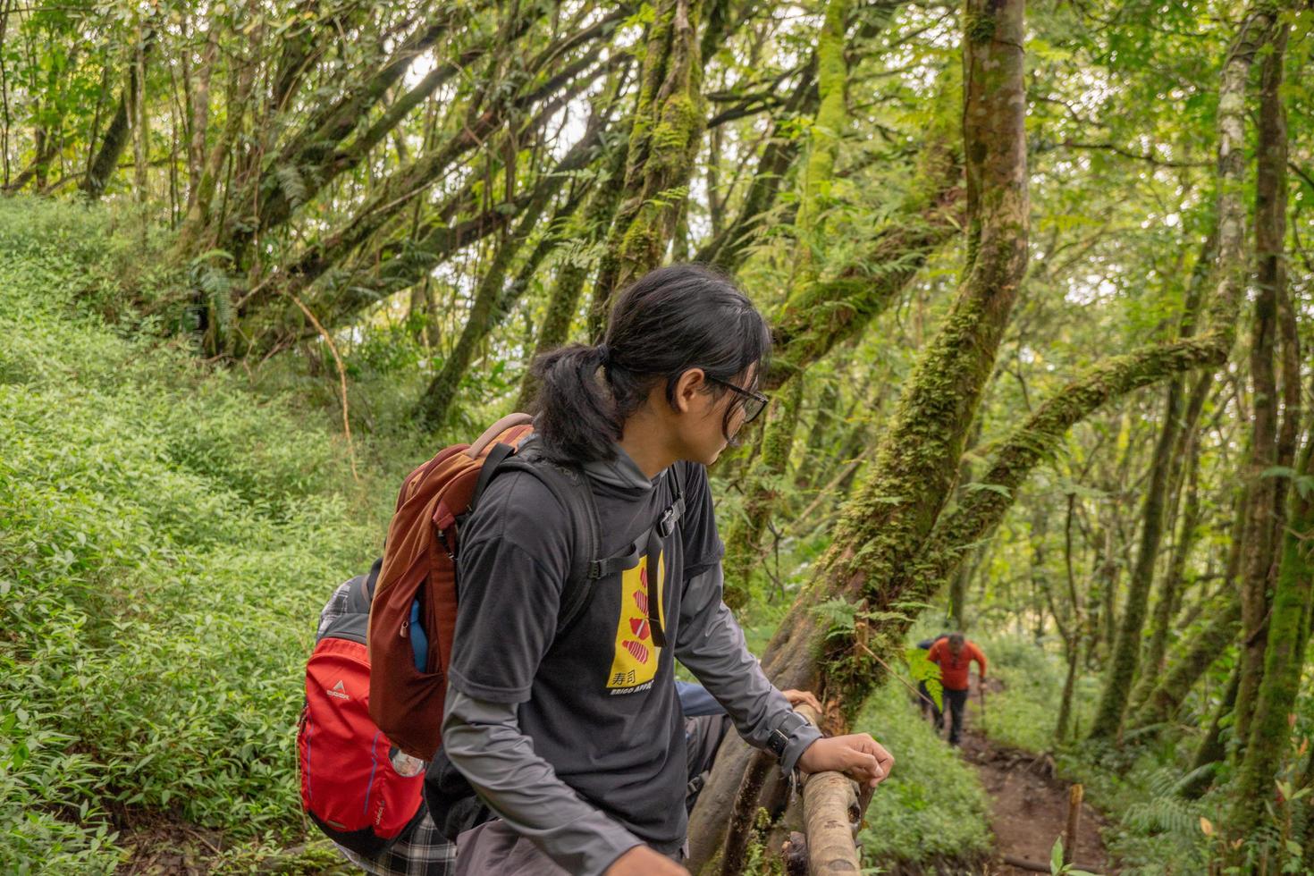 hombre tiene viaje en el bosque yendo a pico montaña en semarang central Java. el foto es adecuado a utilizar para aventuras contenido medios de comunicación, naturaleza póster y bosque antecedentes.