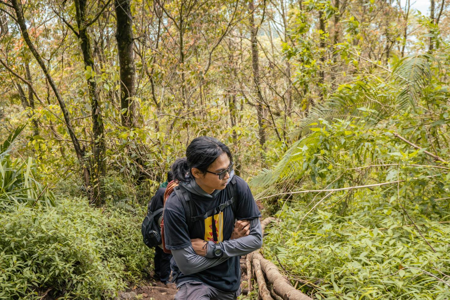 hombre tiene viaje en el bosque yendo a pico montaña en semarang central Java. el foto es adecuado a utilizar para aventuras contenido medios de comunicación, naturaleza póster y bosque antecedentes.