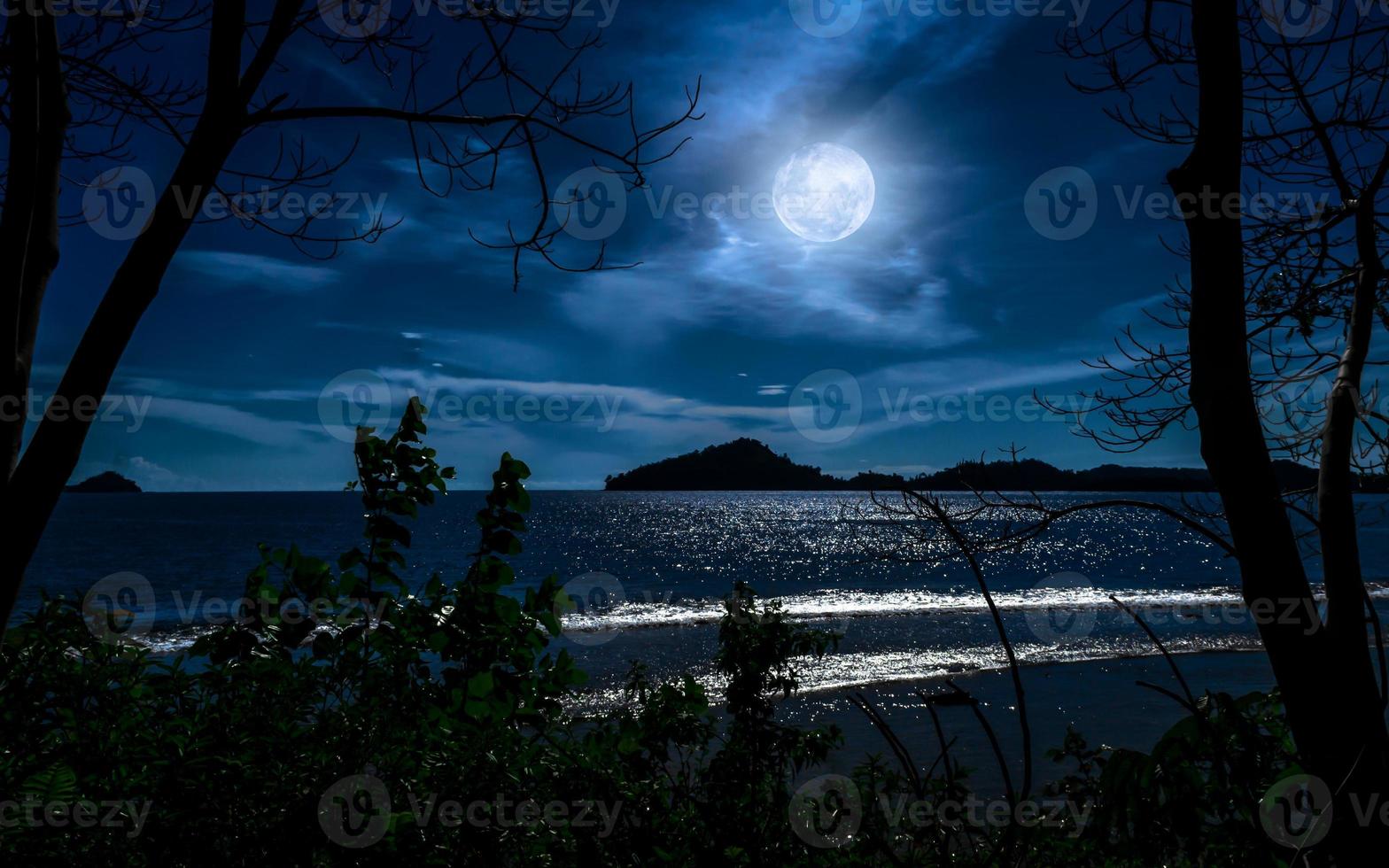 Moonlight over the sea at night in full moonlight. Natural background. photo