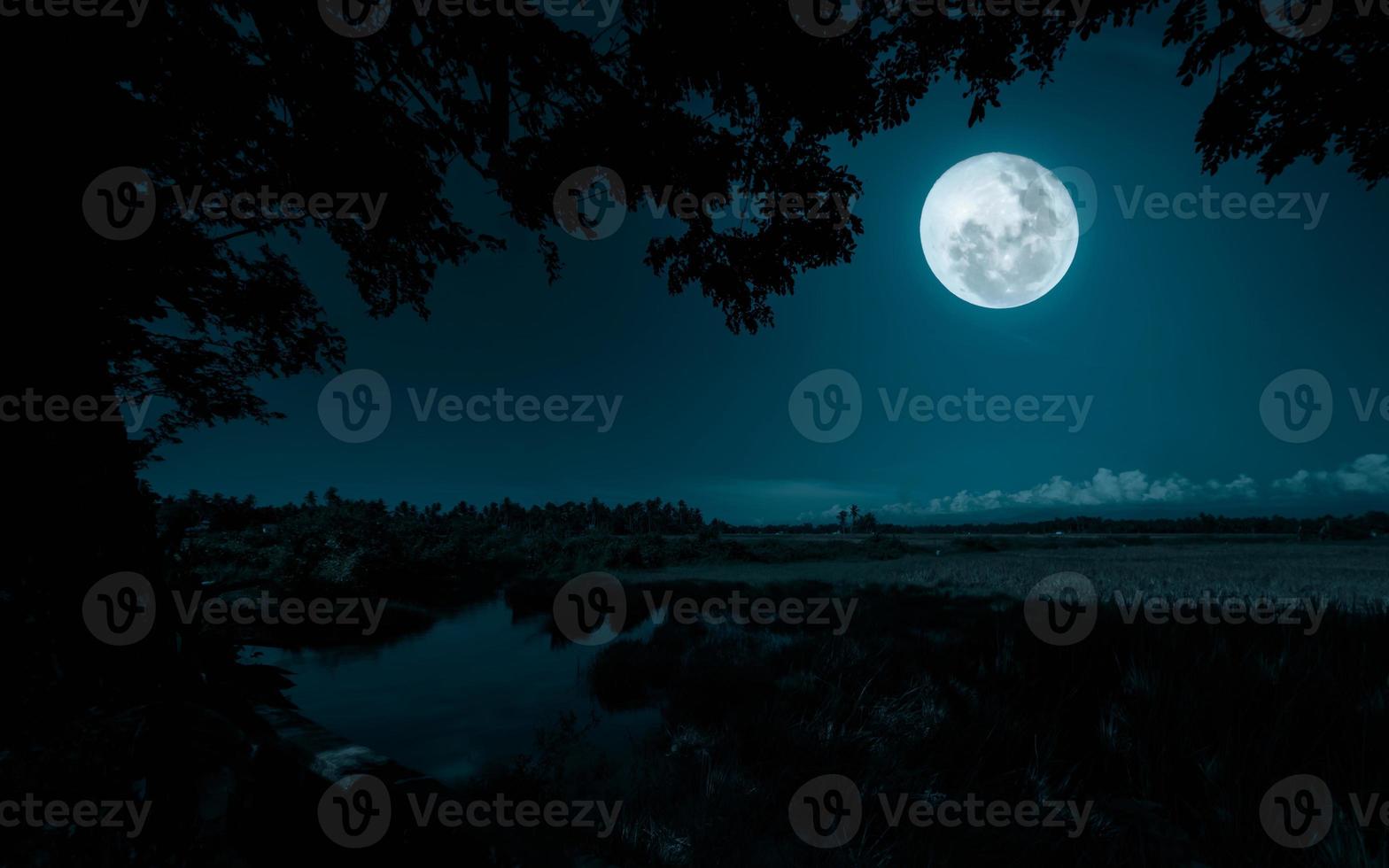 lleno Luna terminado el río en el bosque a noche. naturaleza antecedentes foto