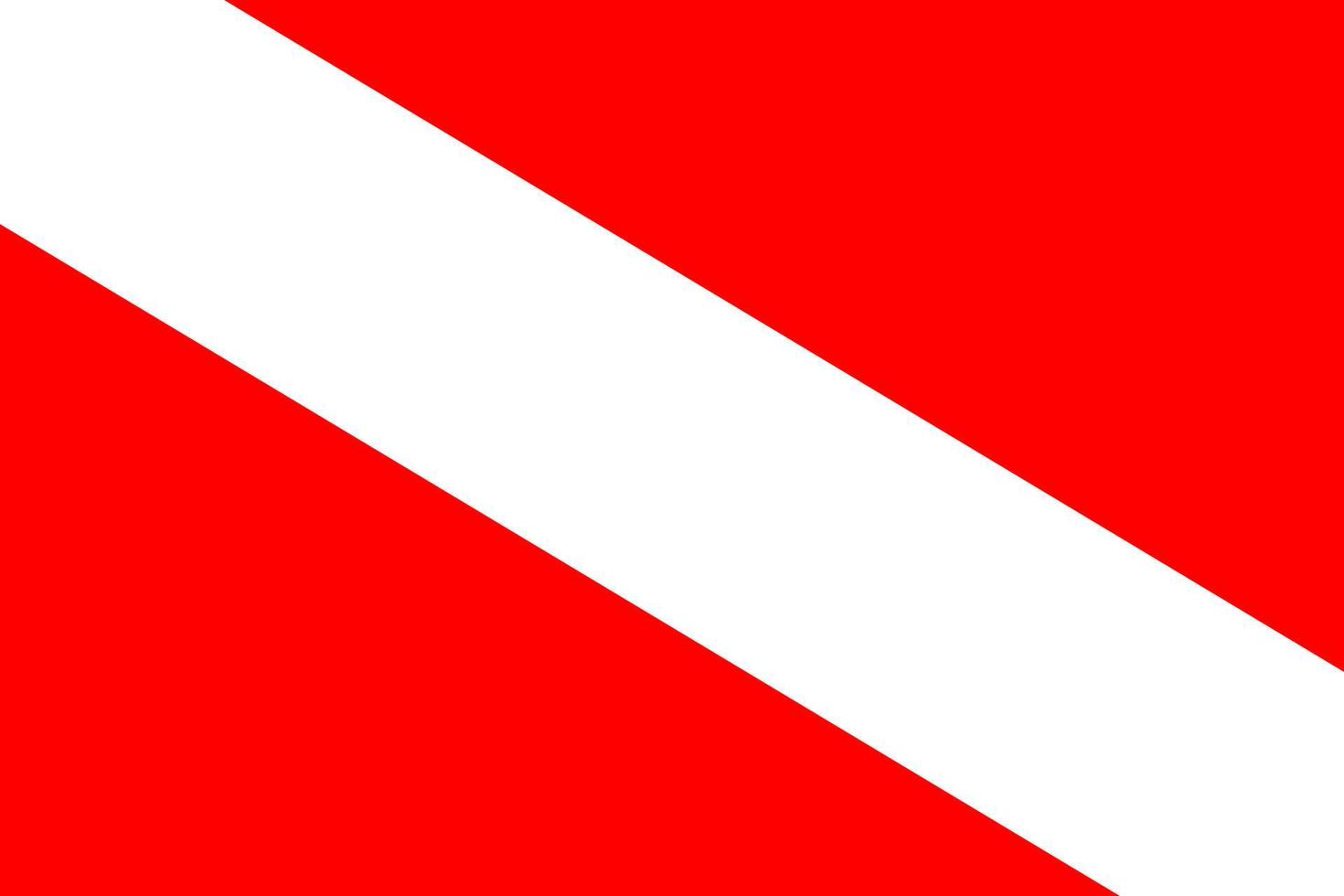 Simple flag of Barotse vector