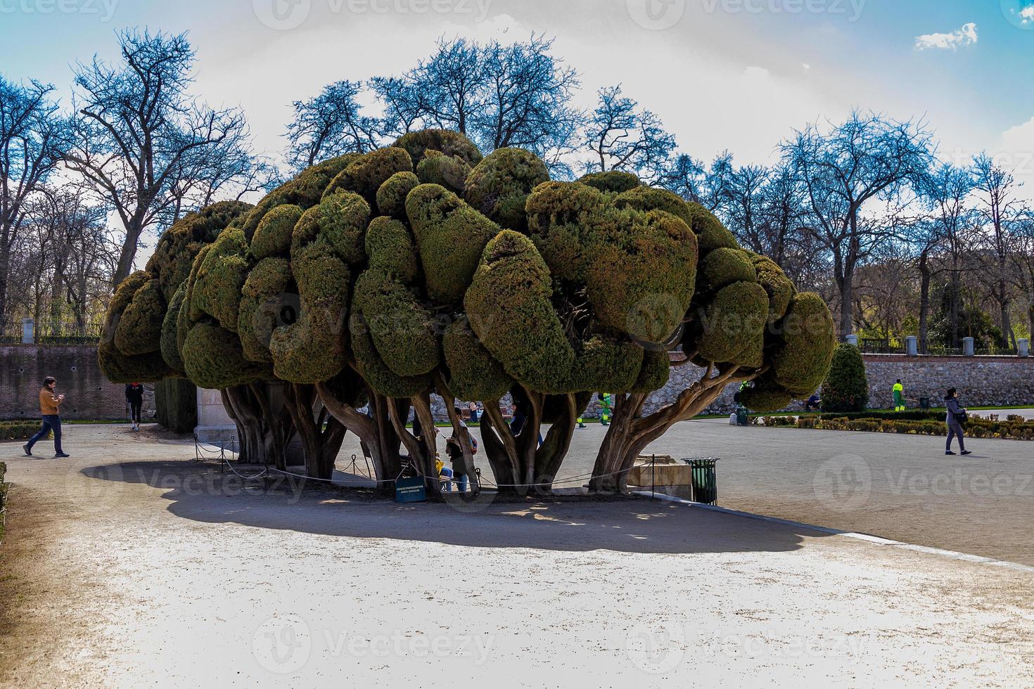 retiro parque en Madrid España en primavera día paisaje foto