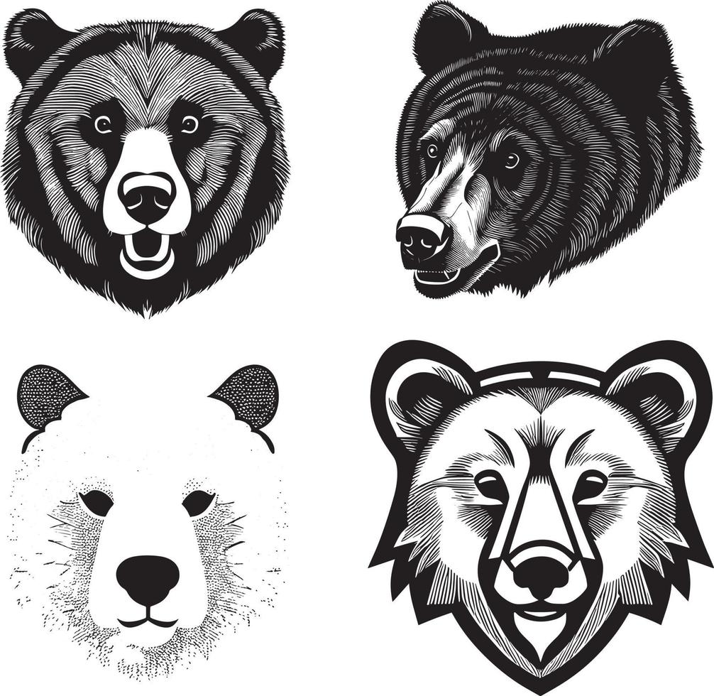 Bear Head Vector Line Art Furious And Coloring Pages