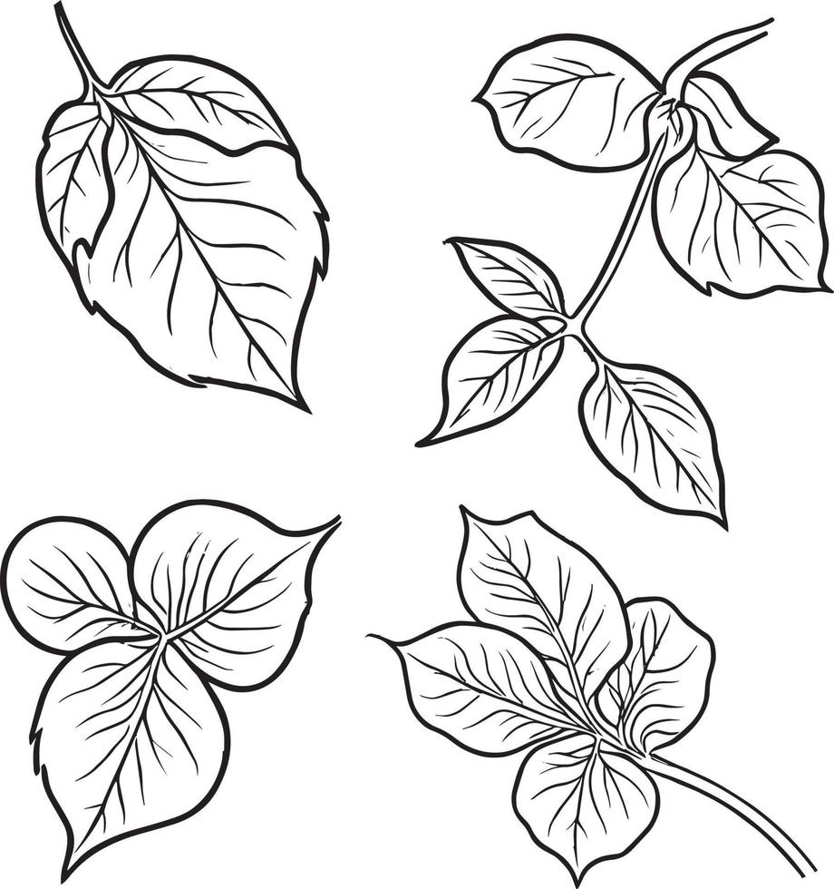 Clásico botánico línea dibujo, botánico ilustración botánico línea dibujo, sencillo botánico línea dibujo, sencillo botánico flor dibujos, fácil botánico garabatos estético flor garabatos vector