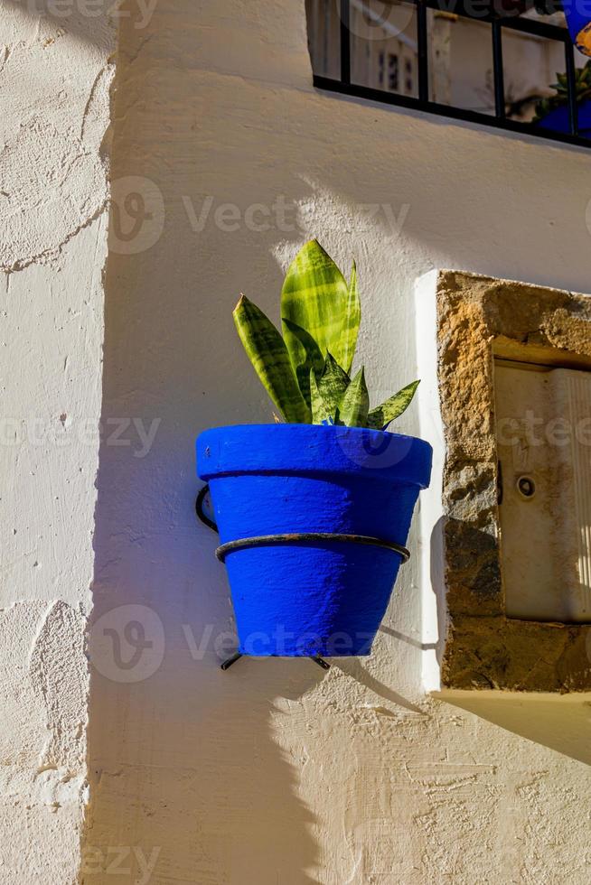 blue pots with flowers on a white building in the old town of Alicante Spain photo