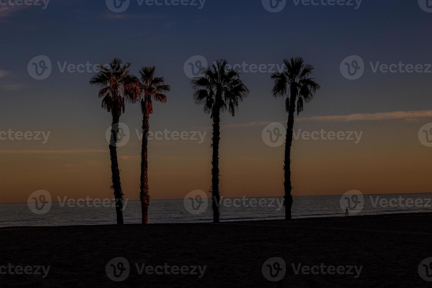 playa paisaje paz y tranquilo puesta de sol y cuatro palma arboles en el playa foto