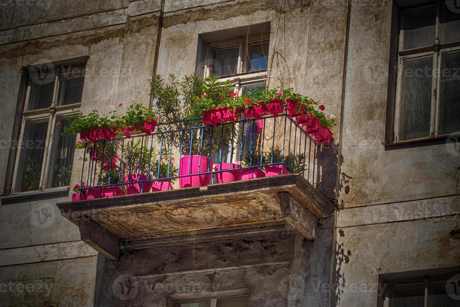 a balcony in an old historic tenement house in Warsaw with  summer pink flowers photo