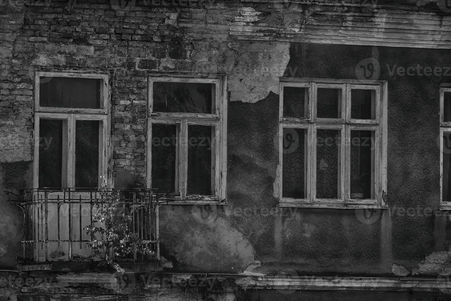 old ruined house, and growing on the windows of a small tree photo