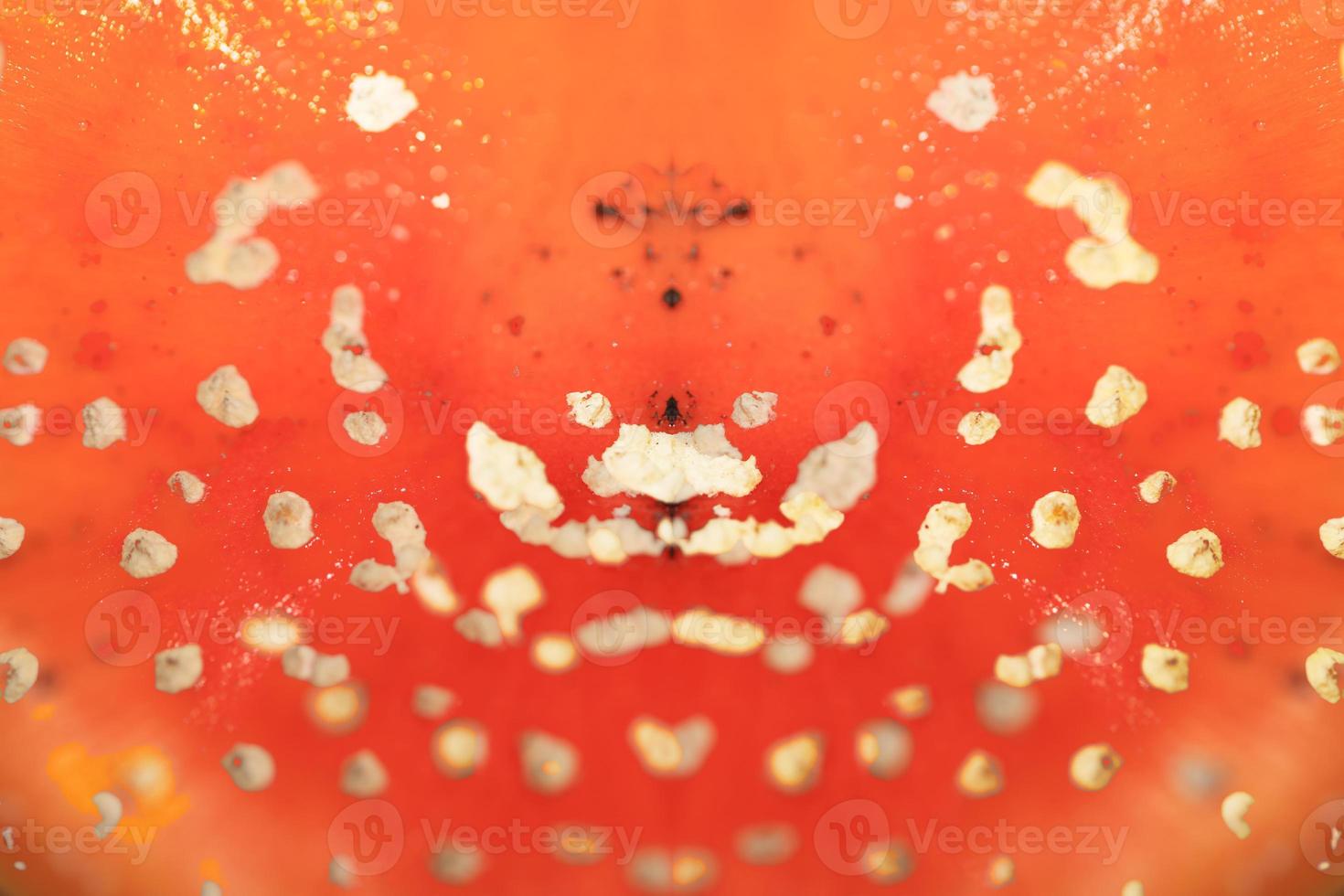 seta amanita muscaria conocido como mosca agárico con brillante rojo sombrero y color torrencial amanitáceas familia psicodélico viaje alto calidad psicodélico volantes fiesta diseños impresión foto