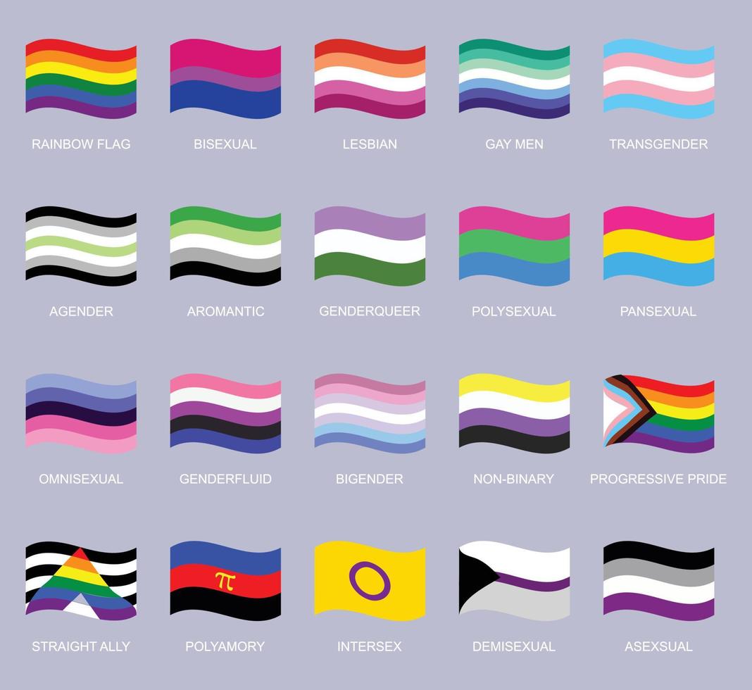 un colección de banderas ese decir orgullo y igualdad. vector