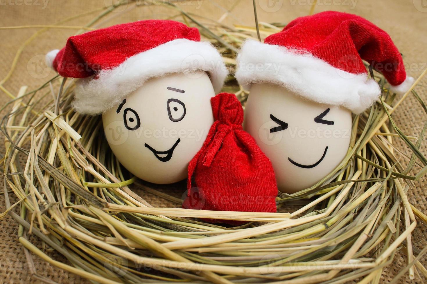 Happy eggs with painted faces in the nest for Christmas photo