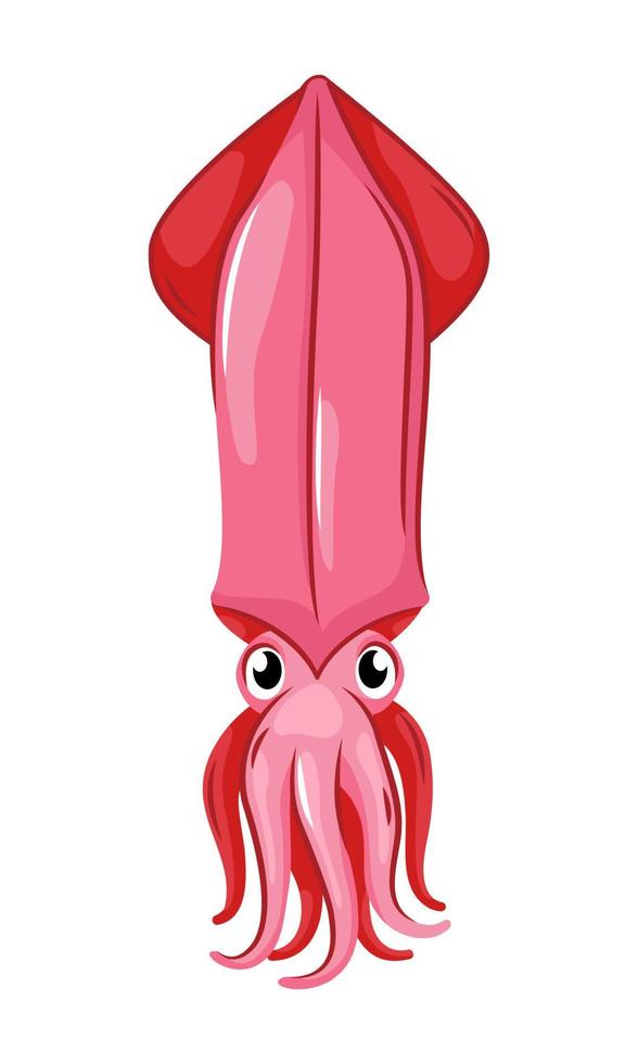 Vector illustration of marine animals - squid, cuttlefish. Seafood delicious seafood restaurant.