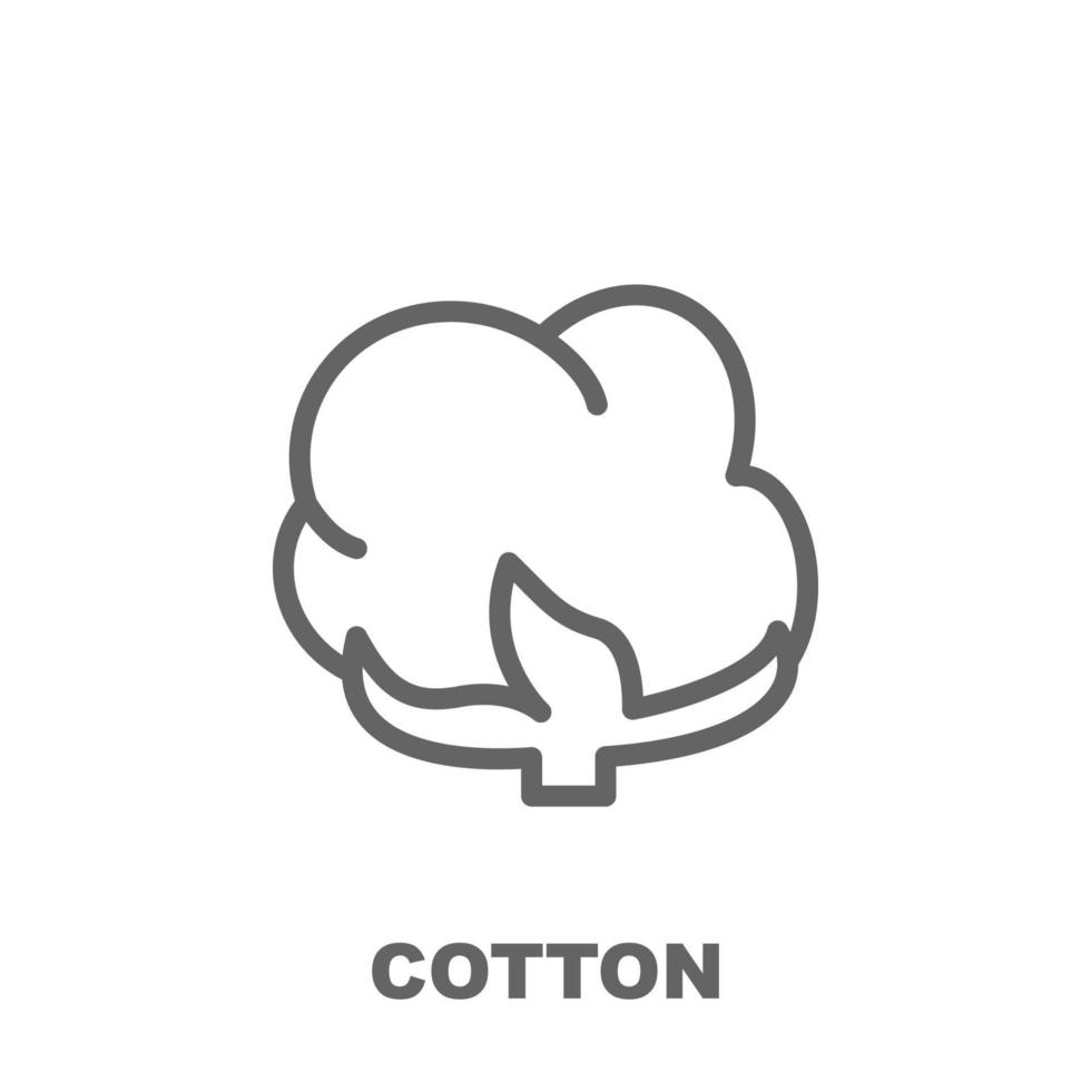 Cotton vector icon