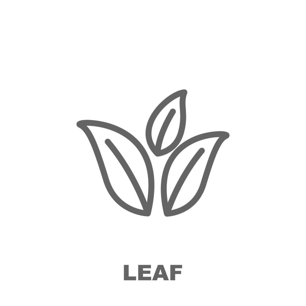 Leaf vector icon