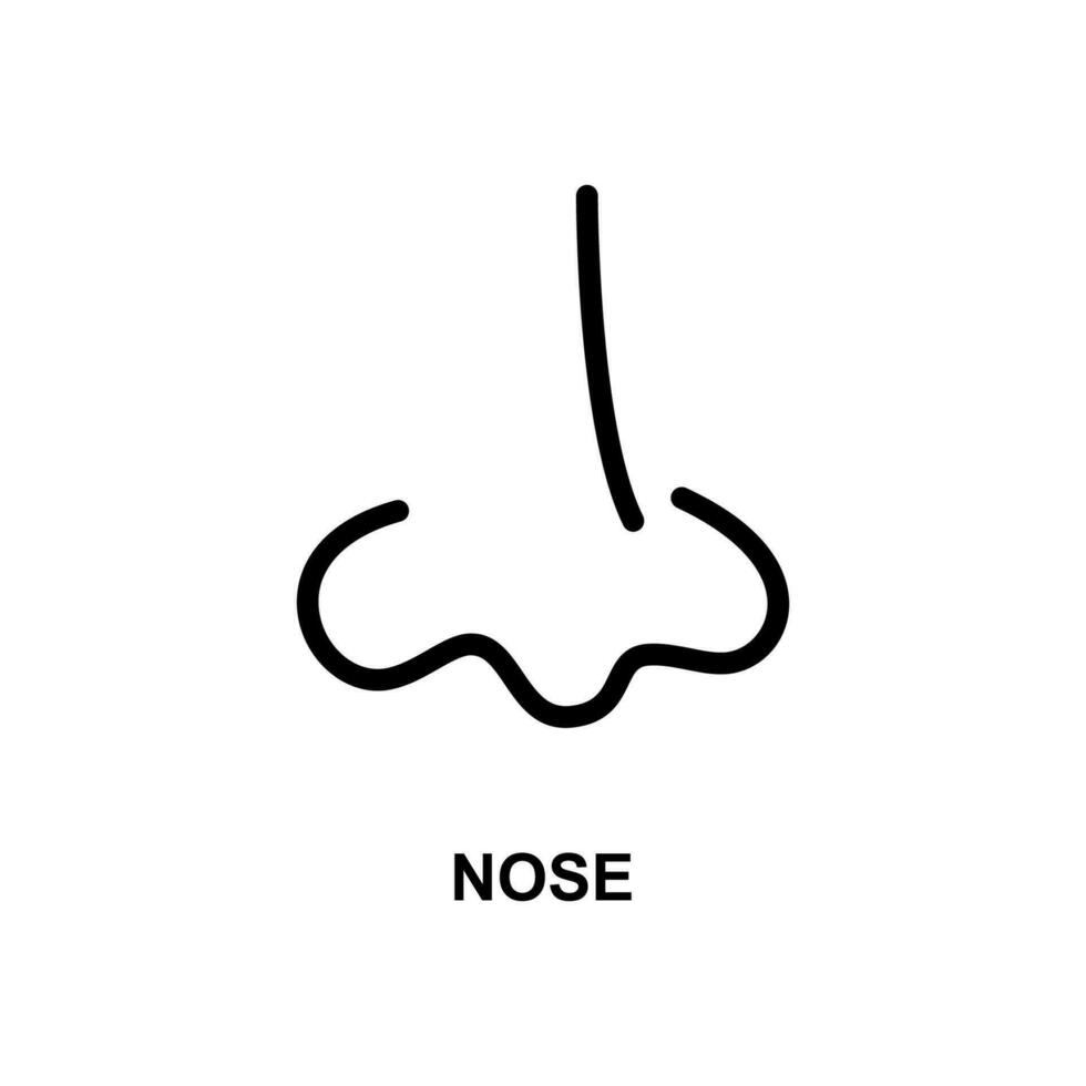 humano nariz sencillo línea vector icono