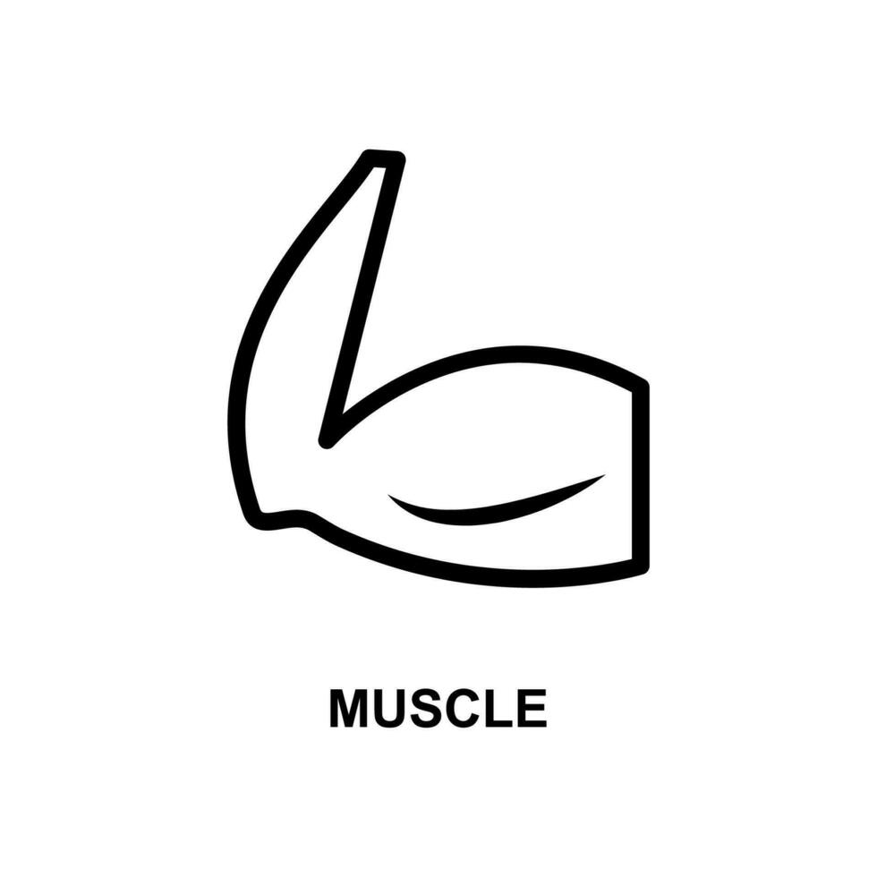 muscle in hand simple line vector icon