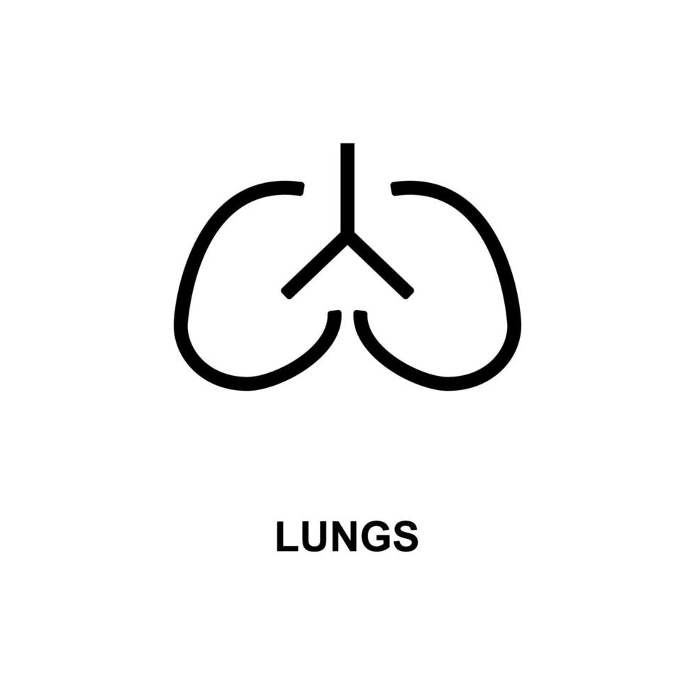 lungs simple line vector icon