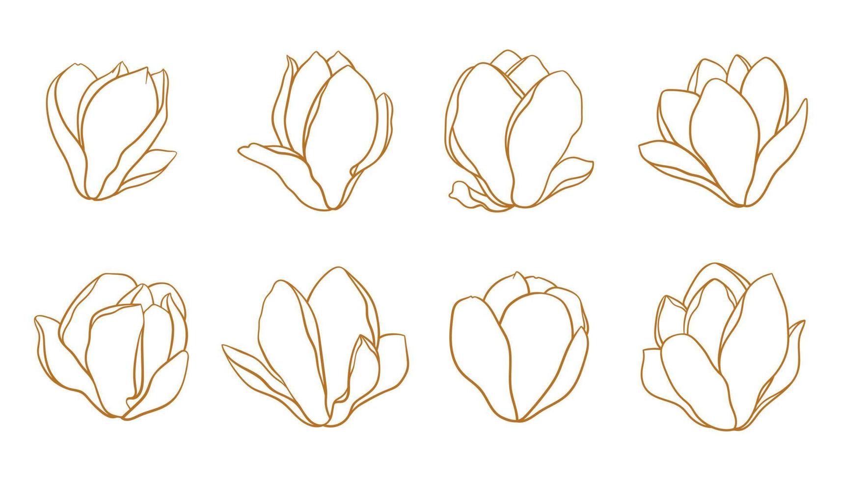 Set of blooming magnolia buds in gold color. vector