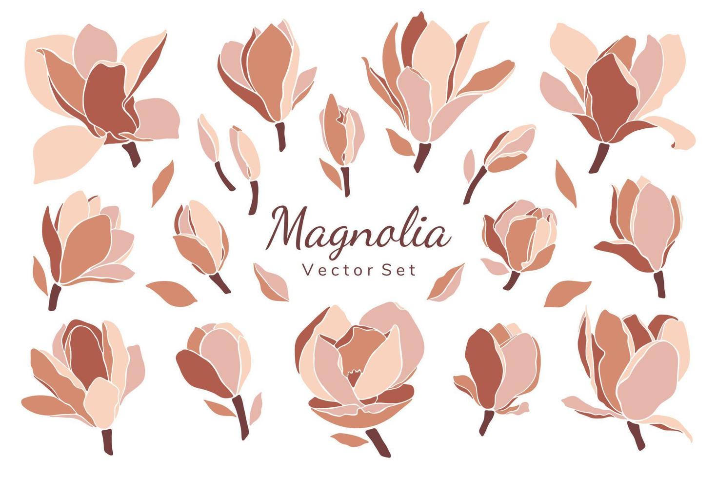 Vector set of magnolia flowers, buds, leaves.