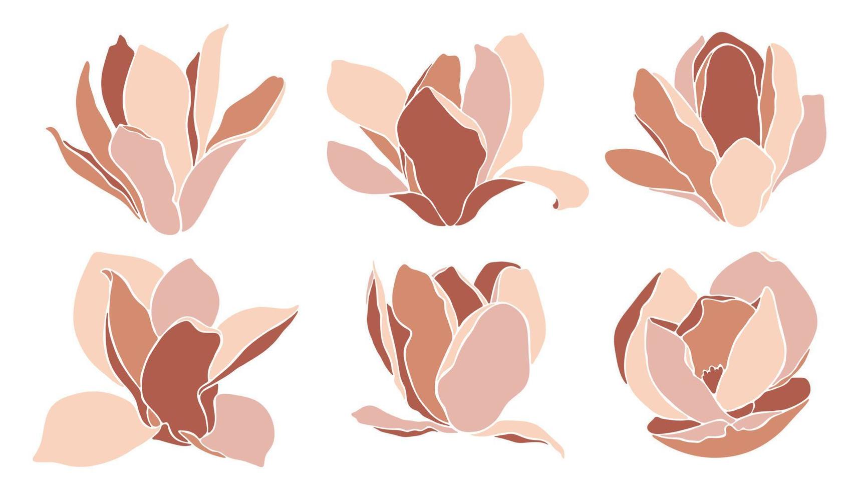 Set of magnolia flowers in minimalistic style, vector illustration.