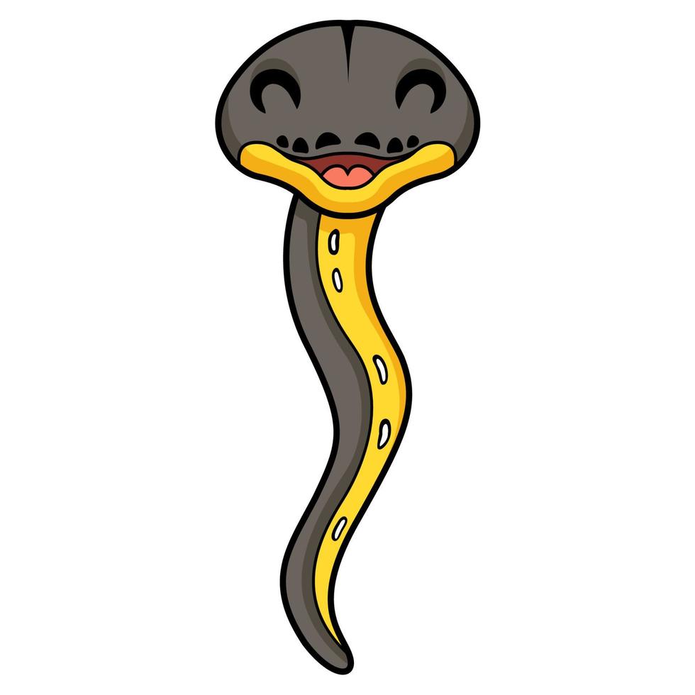 Cute platinum titanium reticulated python cartoon vector