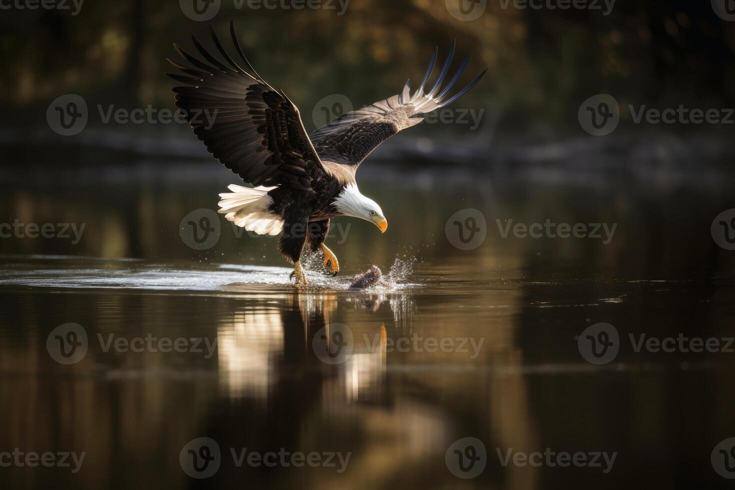An eagle in flight catching fish from a lake created with technology. photo