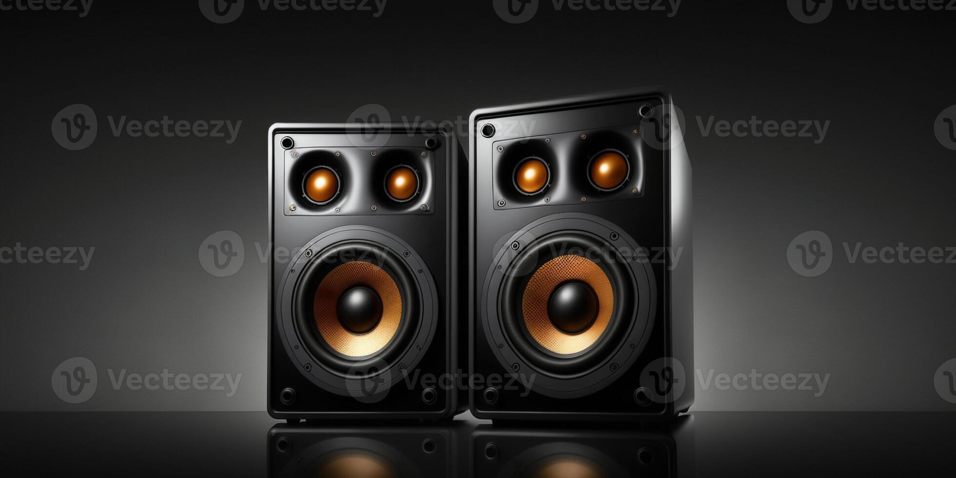 Two sound speakers with free space between them on black background photo