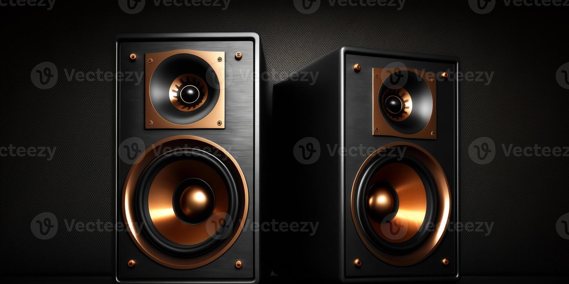 Two sound speakers with free space between them on black background photo