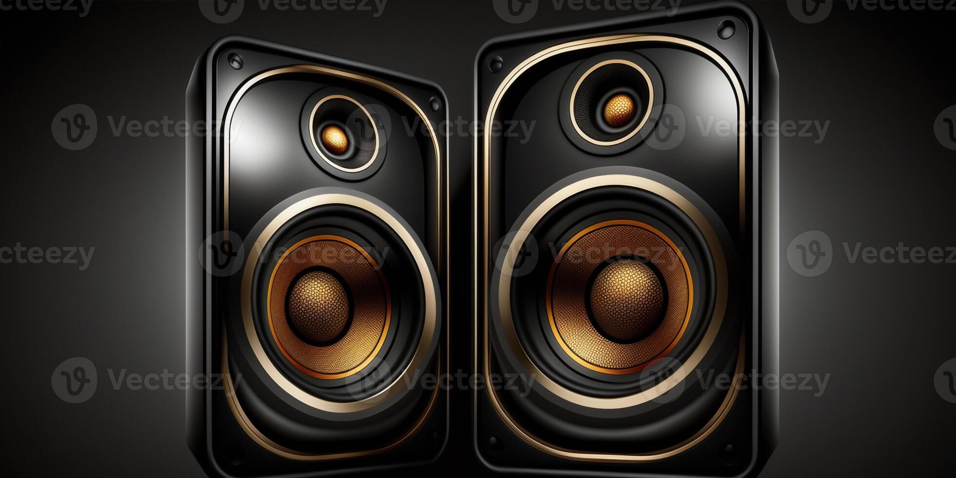 Two sound speakers with free space between them on black background photo