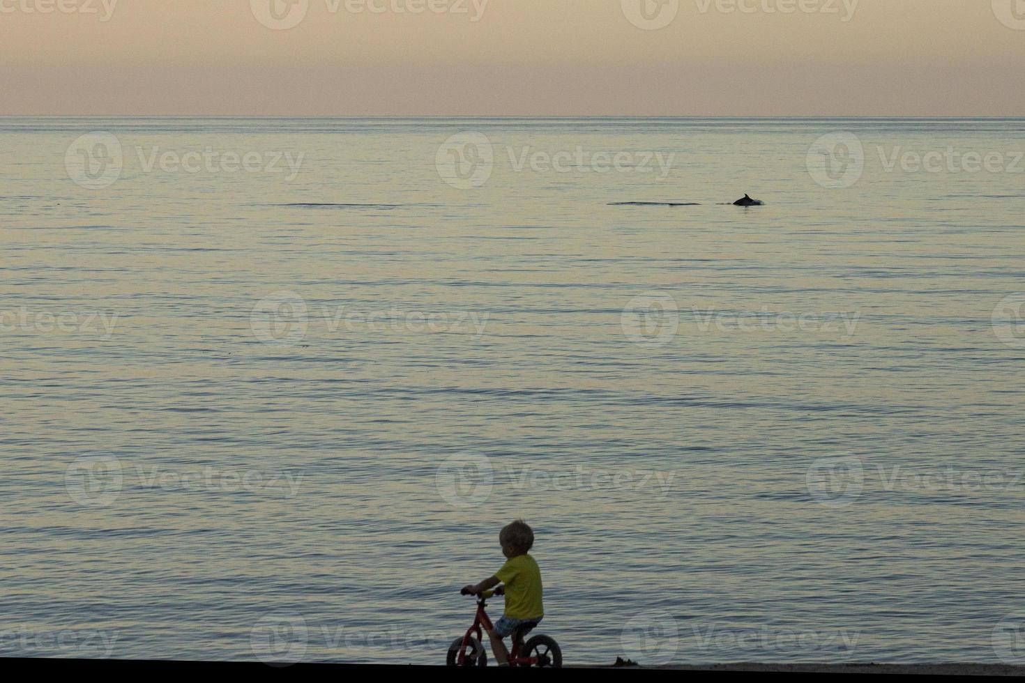 A little boy rides his bike along the sea and watches a dolphin at sunset. photo