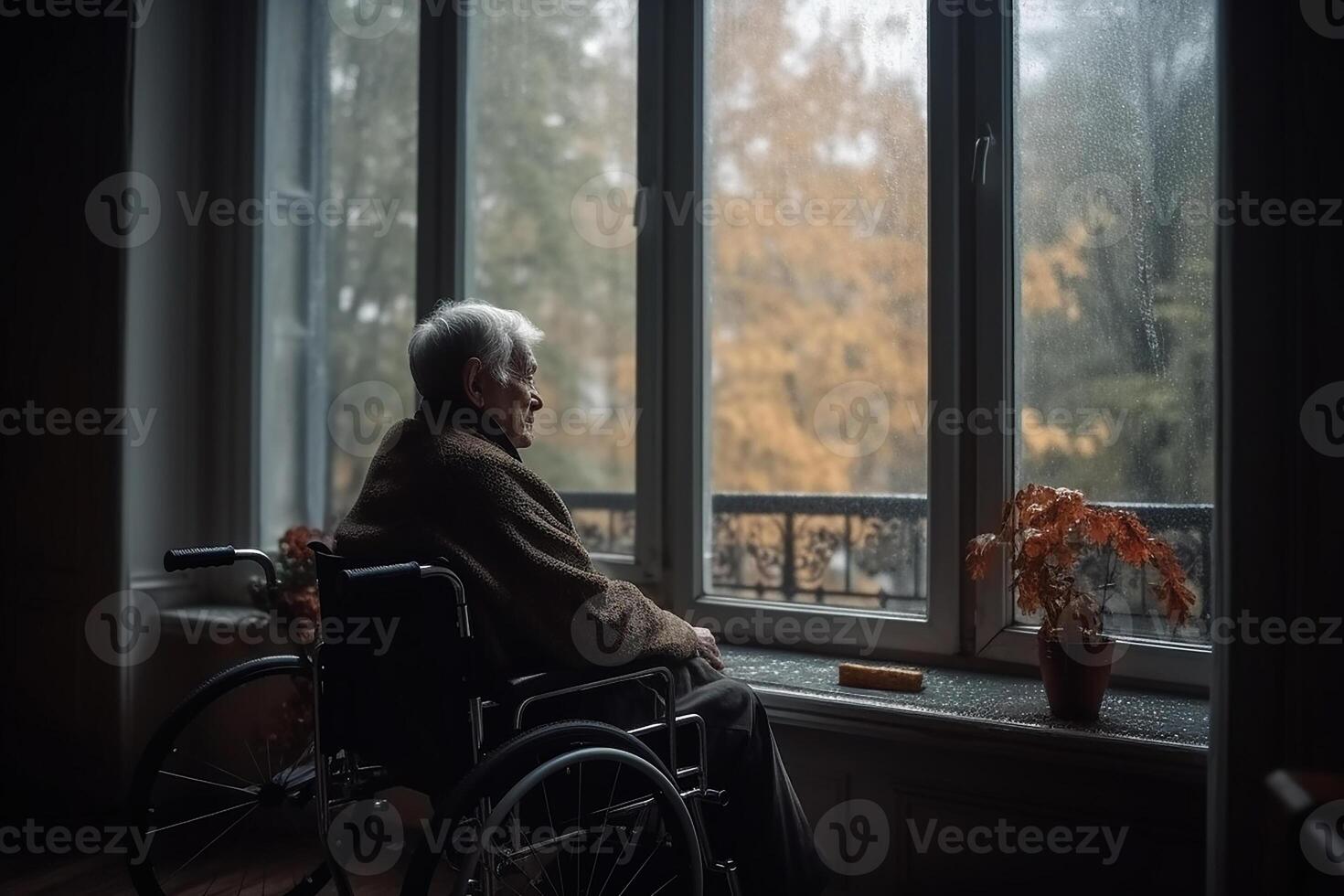 An old man in a wheelchair looks out the window from his home into the autumn. photo