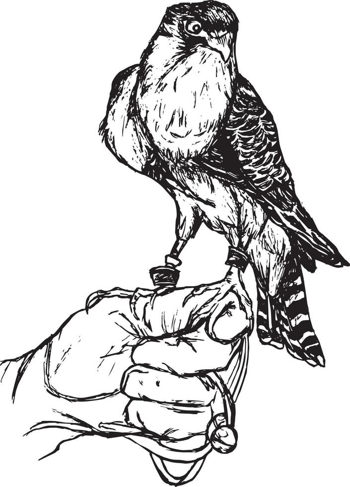 illustration of a pet eagle vector