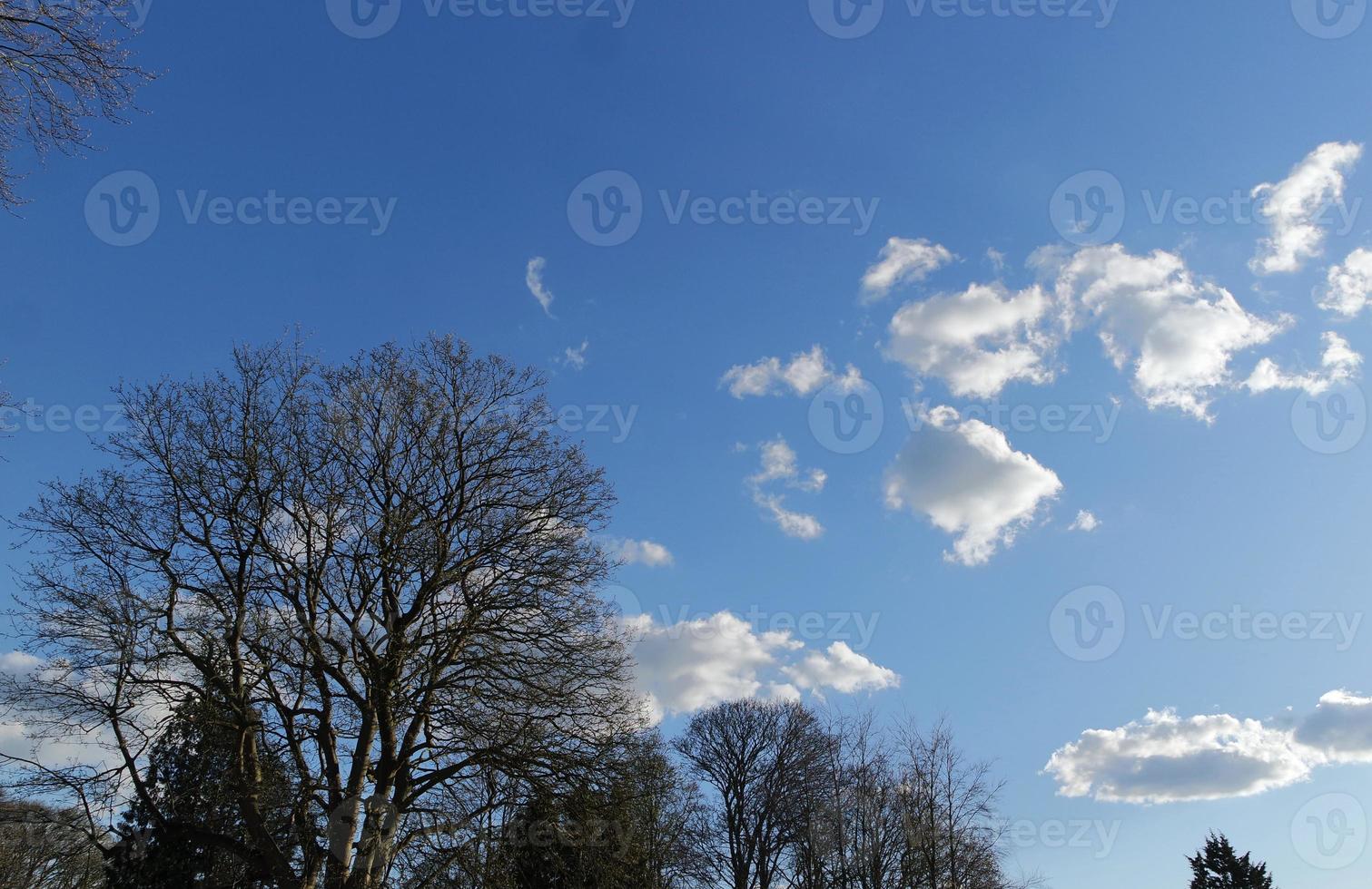 Low Angle View of Local Public Park and Beautiful Trees a Clear and Cold Day of 24-March-2023 at Luton Town of England UK. photo