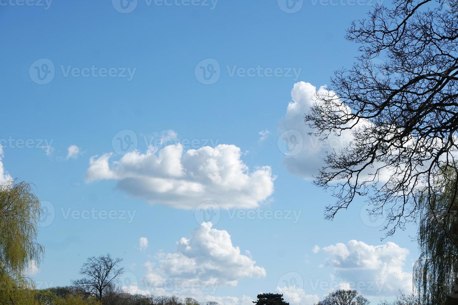 Low Angle View of Local Public Park and Beautiful Trees a Clear and Cold Day of 24-March-2023 at Luton Town of England UK. photo