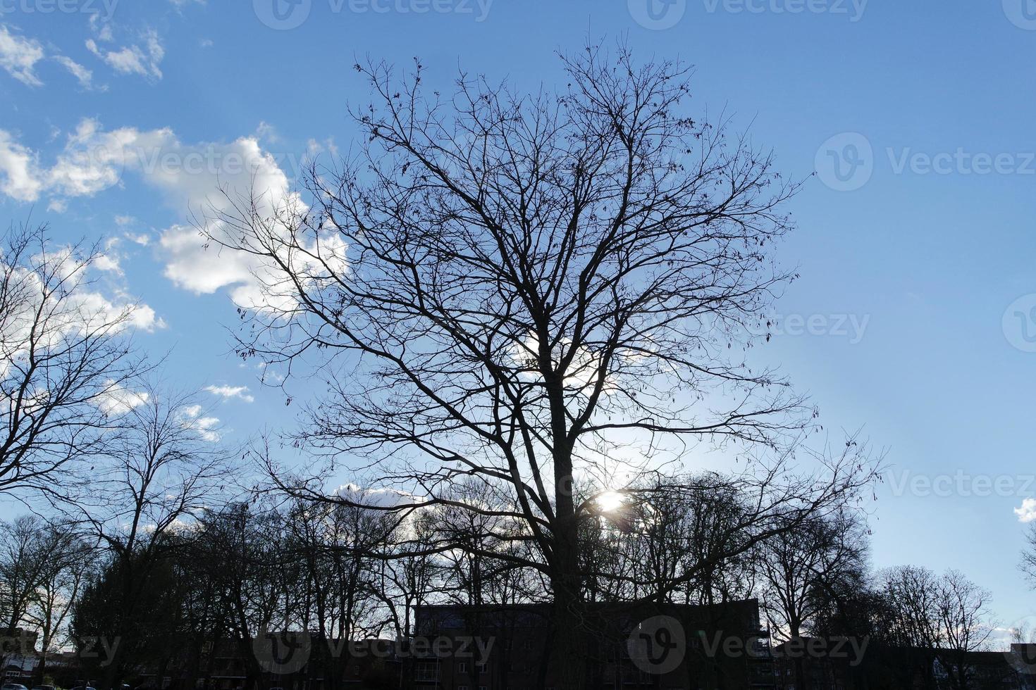 Low Angle View of Local Public Park and Beautiful Trees a Clear and Cold Day of 24-March-2023 at Luton Town of England UK. photo