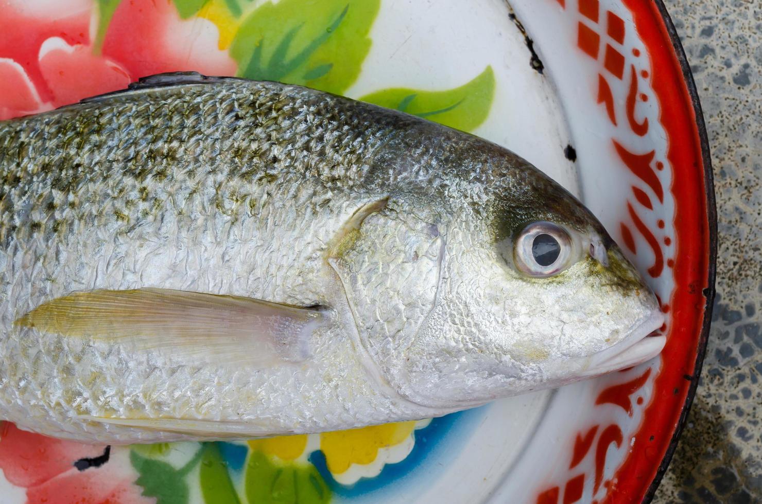 Fresh Fish for Cooking photo