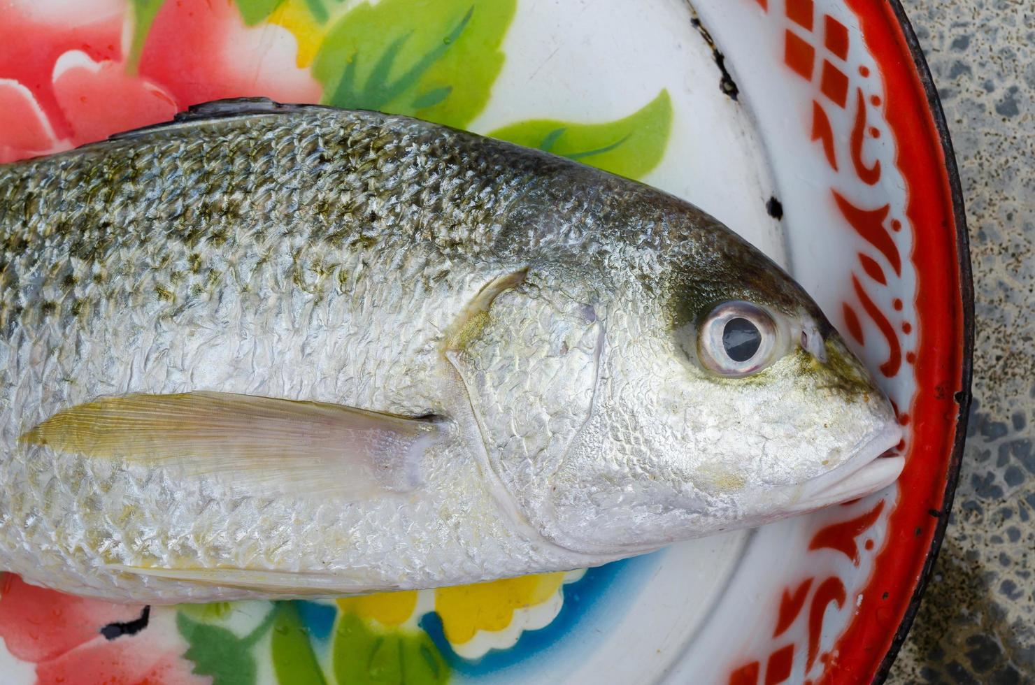 Fresco pescado para Cocinando foto