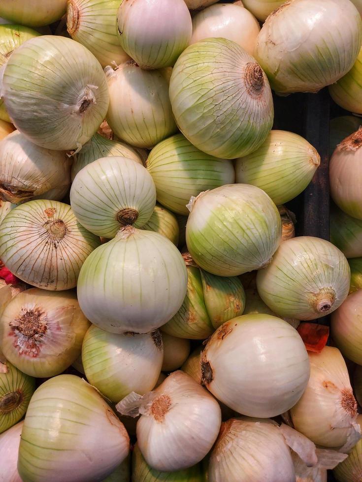 Fresco vegetales ensalada blanco cebolla local nombre salvado piaj en urdu, orgánico blanco cebolla foto