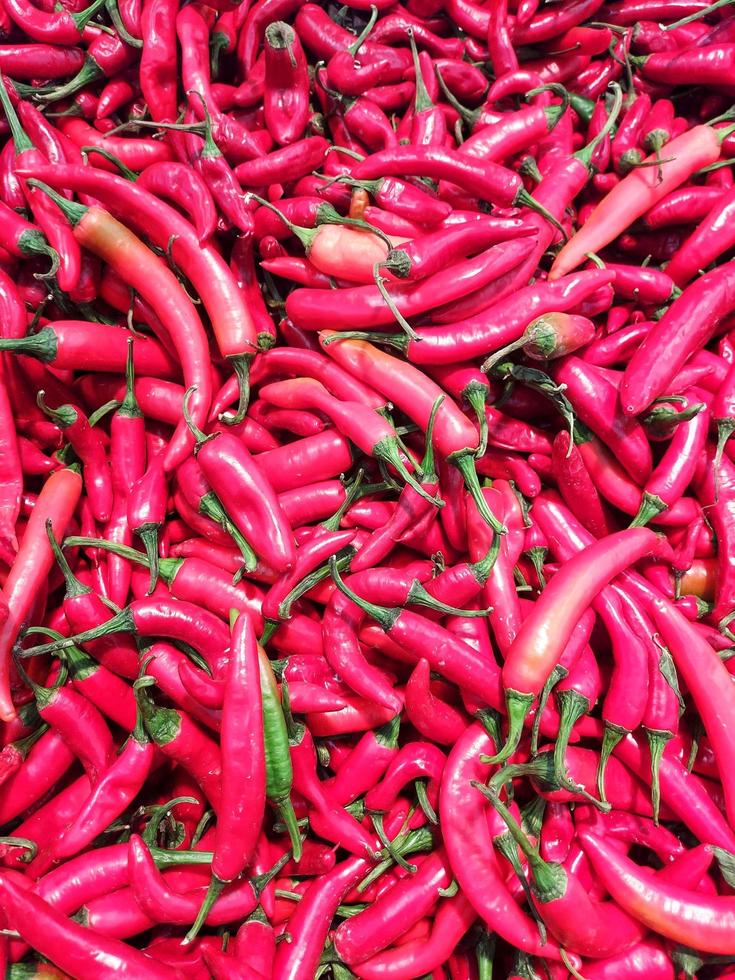 Bulk of long red chillies ,fresh organic red chillies outdoor photo