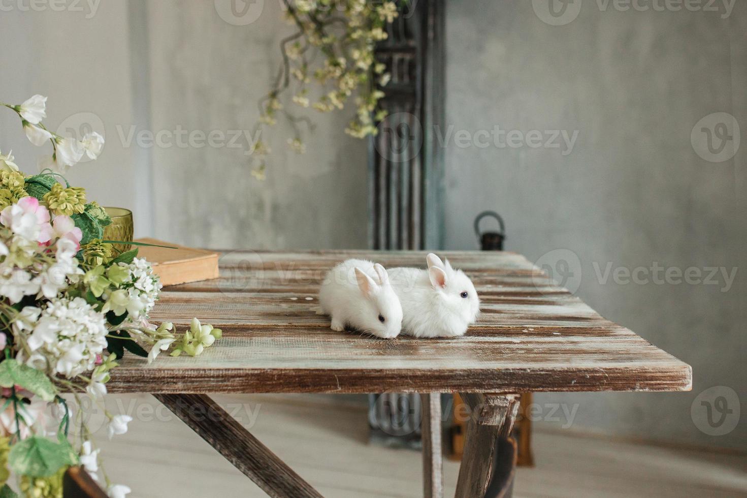 A group of cute Easter bunny rabbits on the table in the living room. Beautiful cute pets. photo