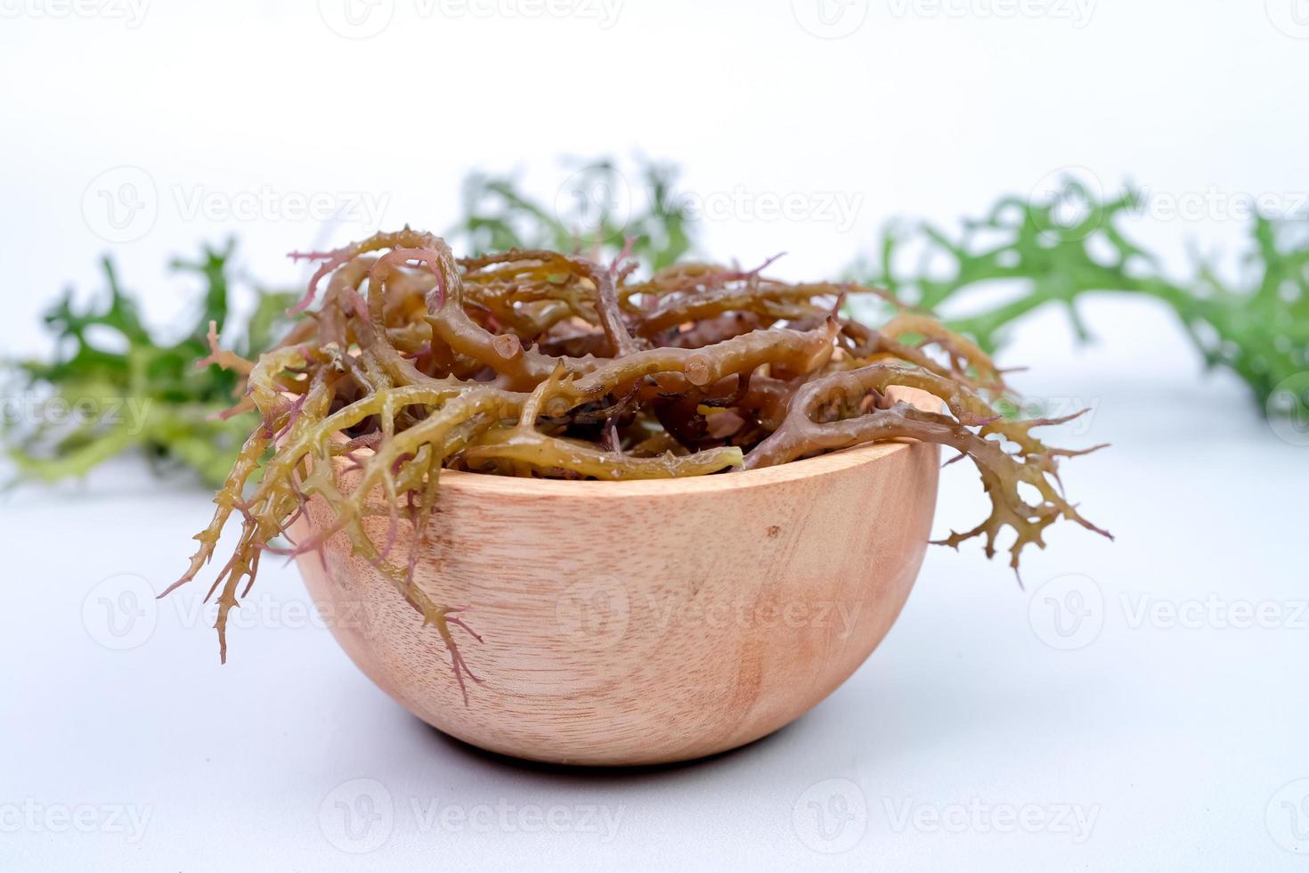 Fresh Graciillaria Spp seaweed in wooden bowl isolated on white background photo