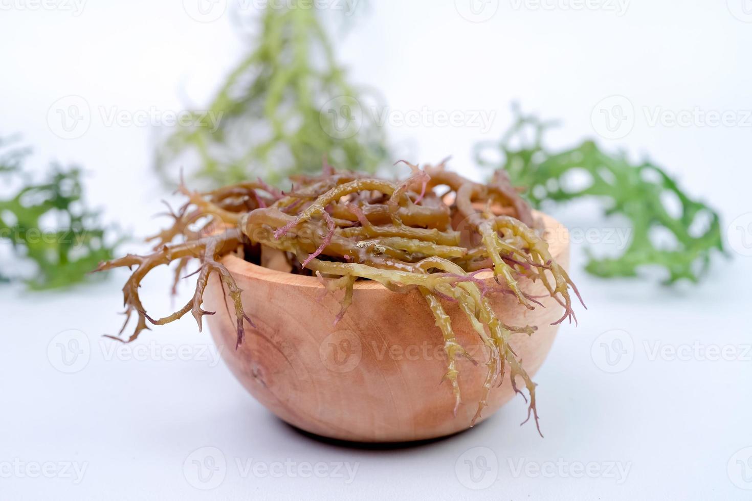 Fresh Graciillaria Spp seaweed in wooden bowl isolated on white background photo