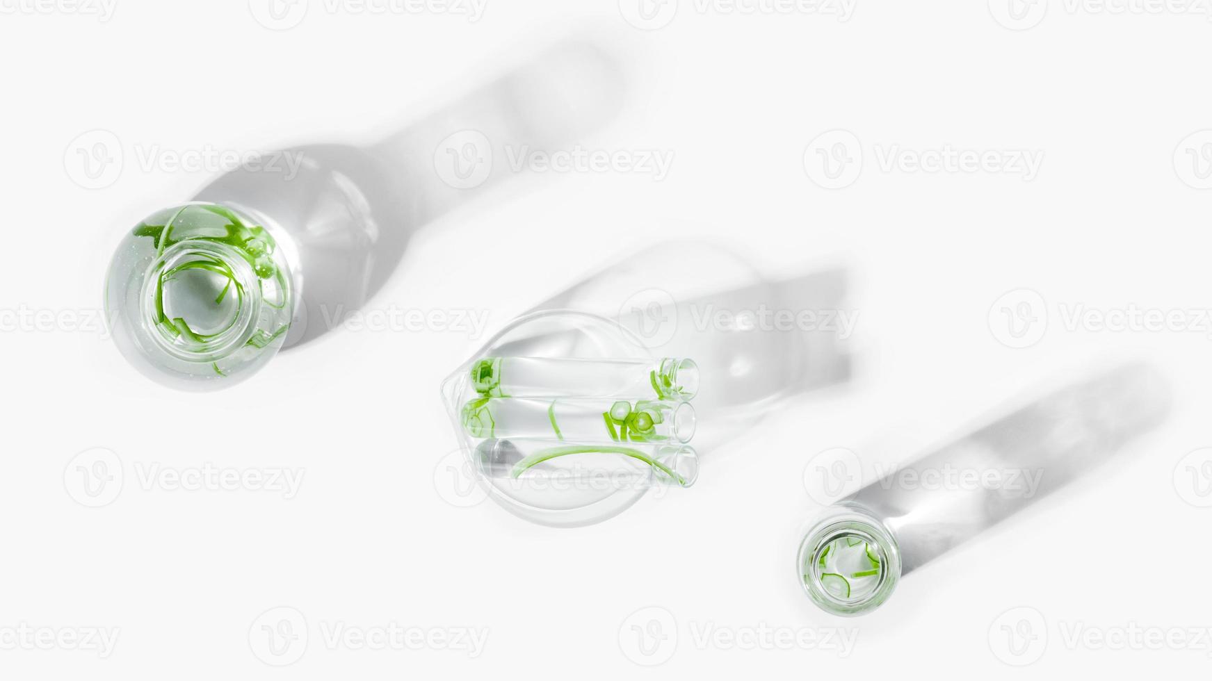 organic cosmetics, natural cosmetics, biofuels, algae. Natural green laboratory. Experiments. Laboratory glassware and containers with green plants on a light background. photo