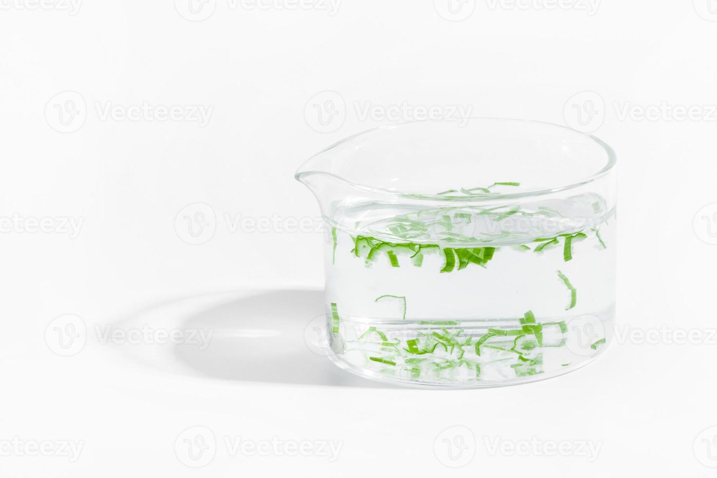 organic cosmetics, natural cosmetics, biofuels, algae. Natural green laboratory. Experiments. Laboratory cup with green plants on a light background. photo