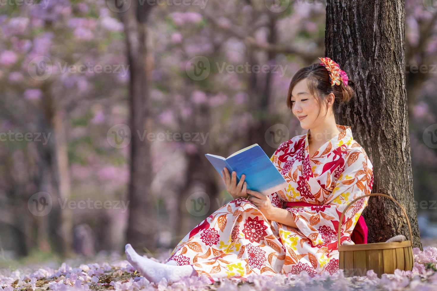 japonés mujer en tradicional kimono vestir sentado debajo Cereza florecer árbol mientras leyendo un libro durante primavera sakura festival concepto foto