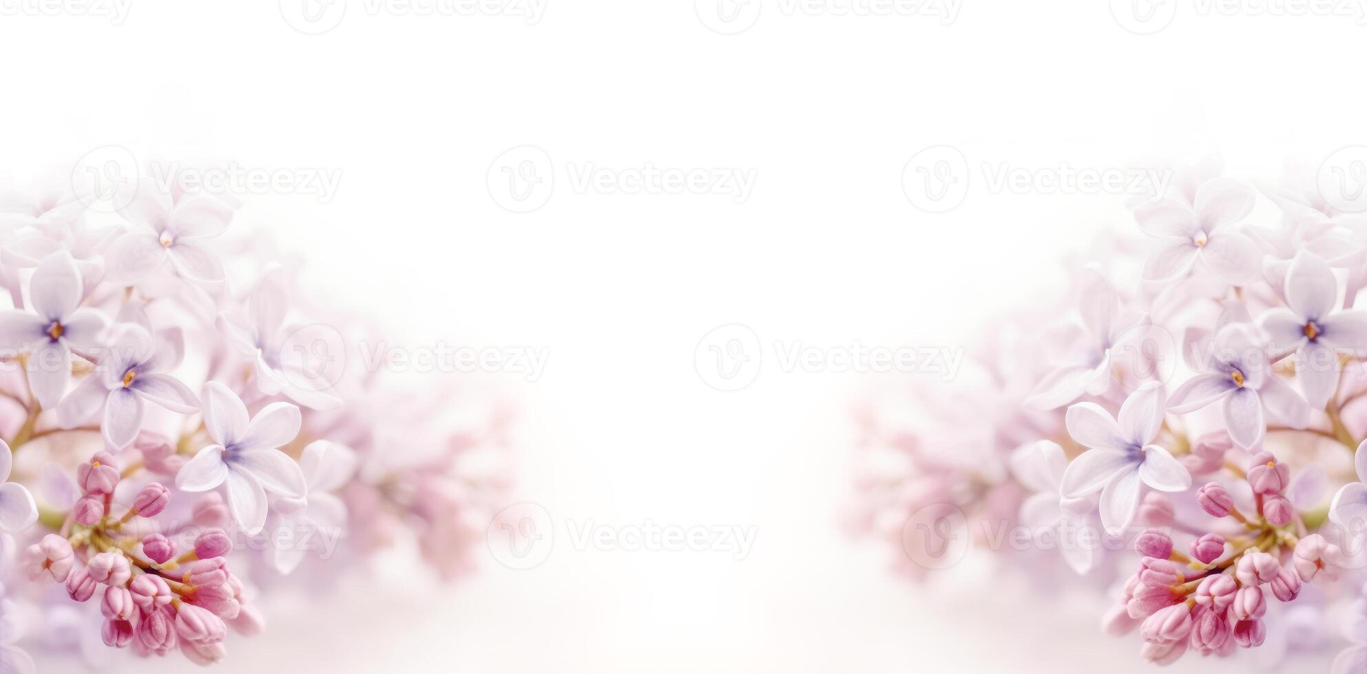 Soft focus image of lilac flowers on white background. photo